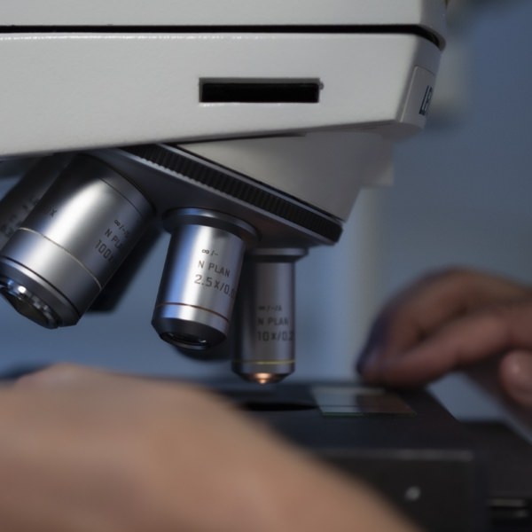 Direction Technique Terélian